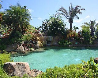 Lawai Beach Resort Hotel Koloa Esterno foto